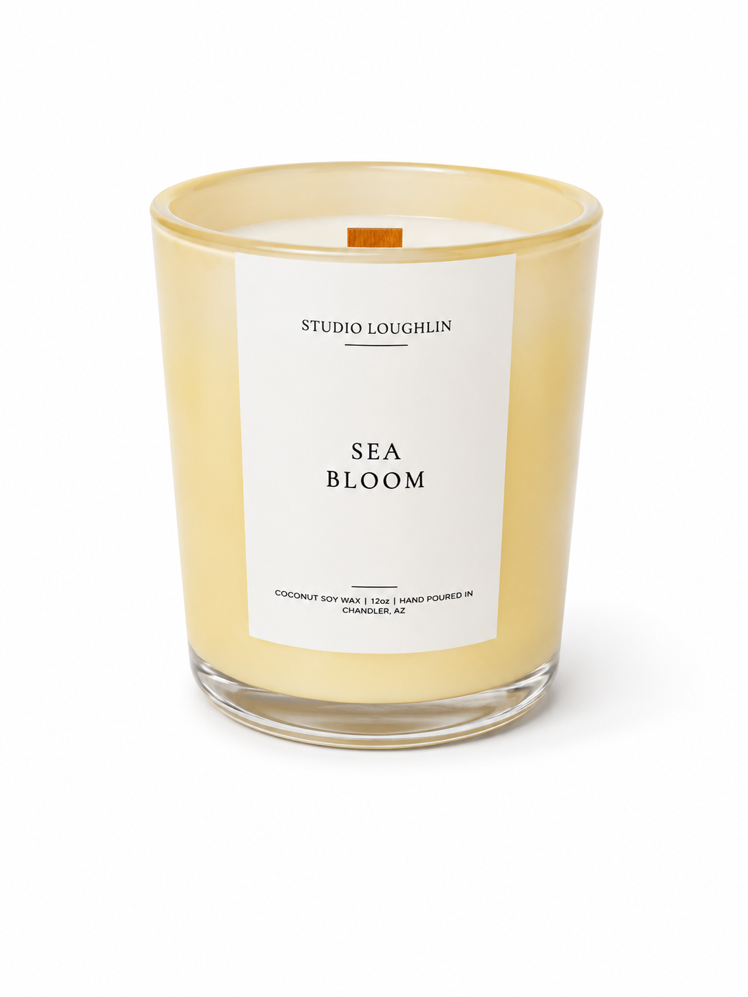 Sea Bloom